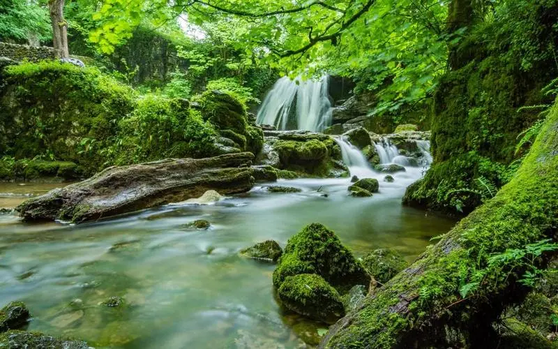 智能系统独特高标准